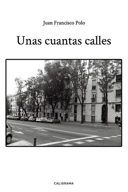 UNAS CUANTAS CALLES | 9788417984199 | POLO, JUAN FRANCISCO