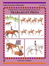 CÓMO SOLUCIONAR PROBLEMAS EN EL TRABAJO EN PISTA | 9788425516795 | WALLACE, JANE