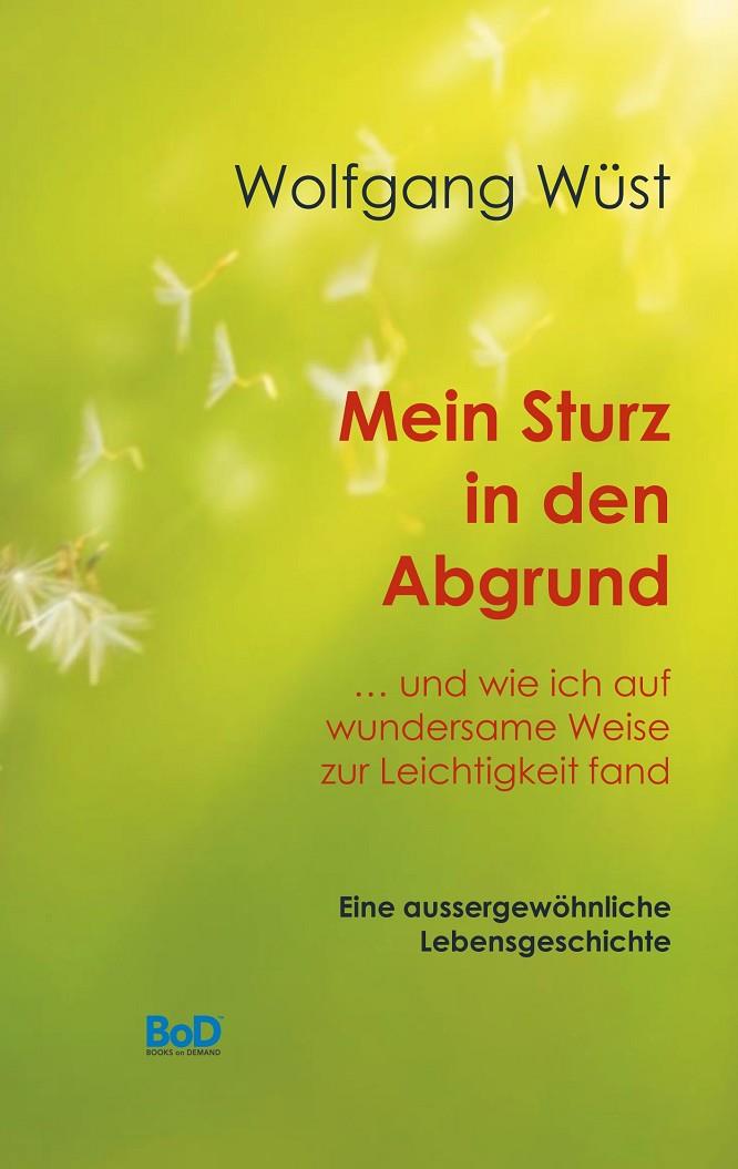 MEIN STURZ IN DEN ABGRUND | 9783749468461 | WUST, WOLFGANG