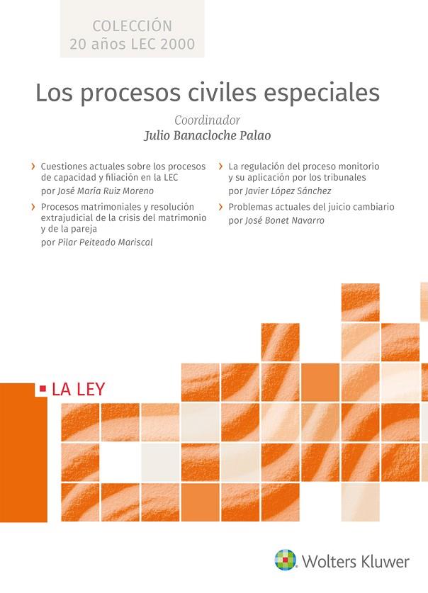PROCESOS CIVILES ESPECIALES, LOS | 9788490207970 | BANACLOCHE PALAO, JULIO