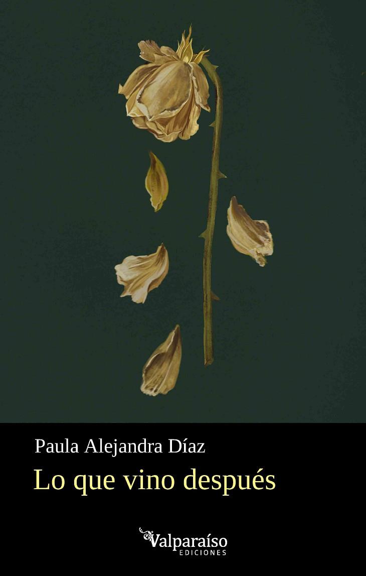 LO QUE VINO DESPUÉS | 9791388007989 | DIAZ, PAULA ALEJANDRA