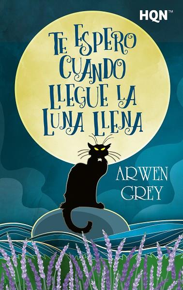TE ESPERO CUANDO LLEGUE LA LUNA LLENA | 9791370009564 | GREY, ARWEN