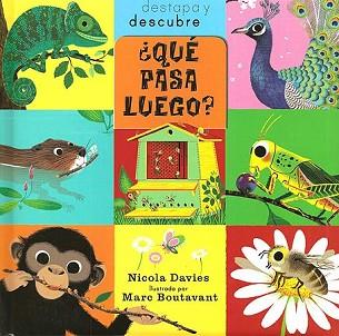 QUÈ PASSARÀ? | 9788426139979 | DAVIES, NICOLA / BOUTAVANT, MARC