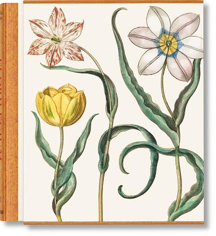 BASILIUS BESLER. THE GARDEN AT EICHSTÄTT | 9783836594332 | LITTGER, KLAUS WALTER/DRESSENDÖRFER, WERNER