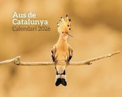 CALENDARI AUS DE CATALUNYA 2026 | 8415001049347
