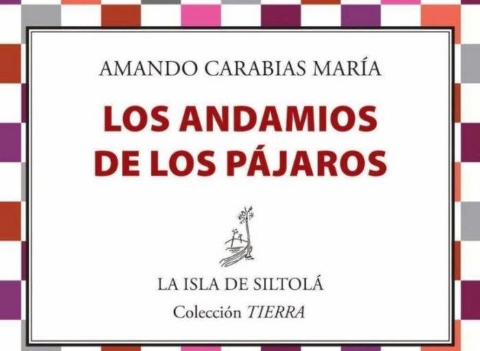 ANDAMIOS DE LOS PÁJAROS, LOS | 9788415593829 | CARABIAS MARÍA, AMANDO