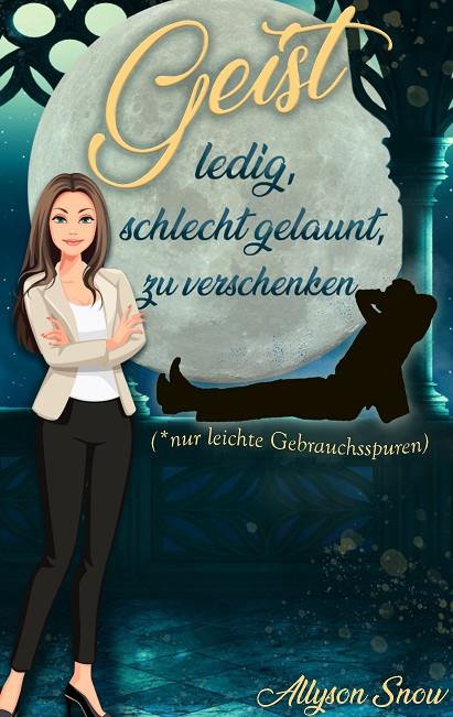 GEIST, LEDIG, SCHLECHT GELAUNT, ZU VERSCHENKEN | 9783741283772 | SNOW, ALLYSON