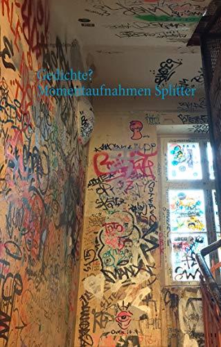 GEDICHTE? MOMENTAUFNAHMEN SPLITTER | 9783750406056 | MENDO, DOMINGO