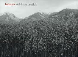INTERIOR | 9789876142601 | LESTIDO, ADRIANA