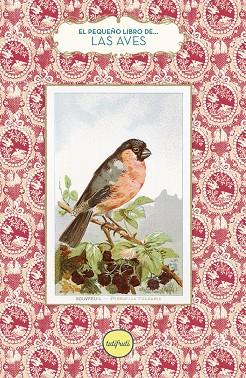 PEQUEÑO LIBRO DE LAS AVES, EL | 9788412622164 | JANKELIOWITCH, ANNE