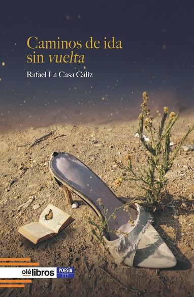 CAMINOS DE IDA SIN VUELTA | 9791387951191 | LA CASA CALIZ, RAFAEL