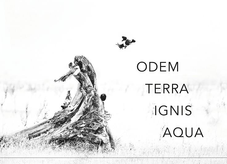 ODEM TERRA IGNIS AQUA | 9783741254239 | TROPPKO, HERWIG K.