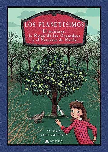 PLANETÉSIMOS, LOS | 9788413639901 | AVELLANO PEREZ, ANTONIA