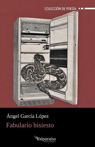 FABULARIO BISIESTO | 9791387538187 | GARCIA LOPEZ, ANGEL