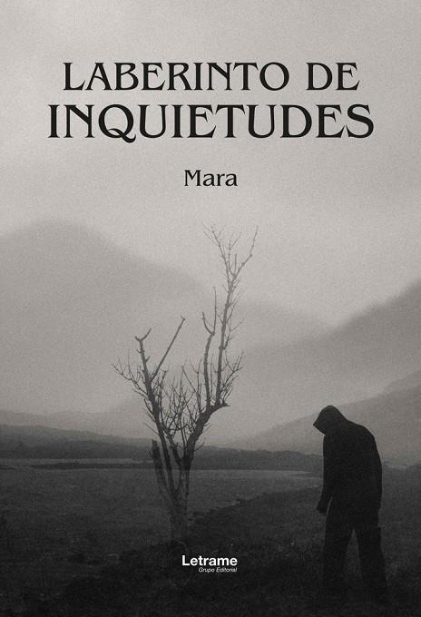 LABERINTO DE INQUIETUDES | 9791370294410 | MARA