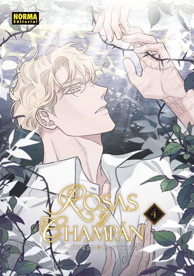 ROSAS Y CHAMPAN 04 | 9788467981889 | GAE, TTUNG