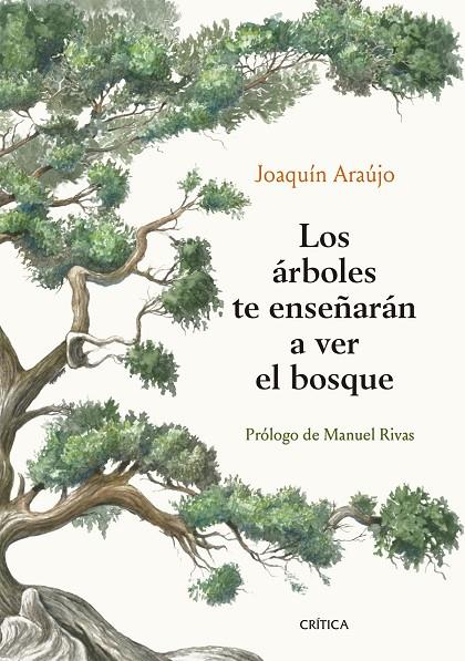 ÁRBOLES TE ENSEÑARÁN A VER EL BOSQUE, LOS | 9788491992080 | ARAÚJO, JOAQUÍN
