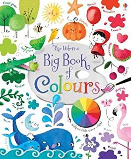 BIG BOOKS OF COLOURS | 9781409582472