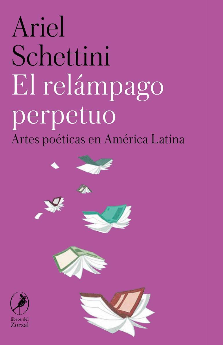 RELÁMPAGO PERPETUO, EL | 9788412967814 | SCHETTINI, ARIEL