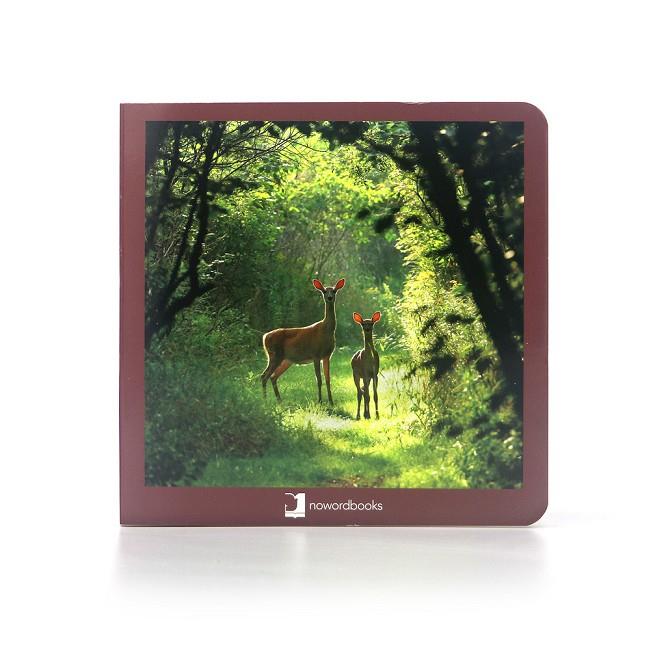 ANIMALES DEL BOSQUE / ANIMALS DE BOSC (FORMATO GRANDE) | 9788412344578