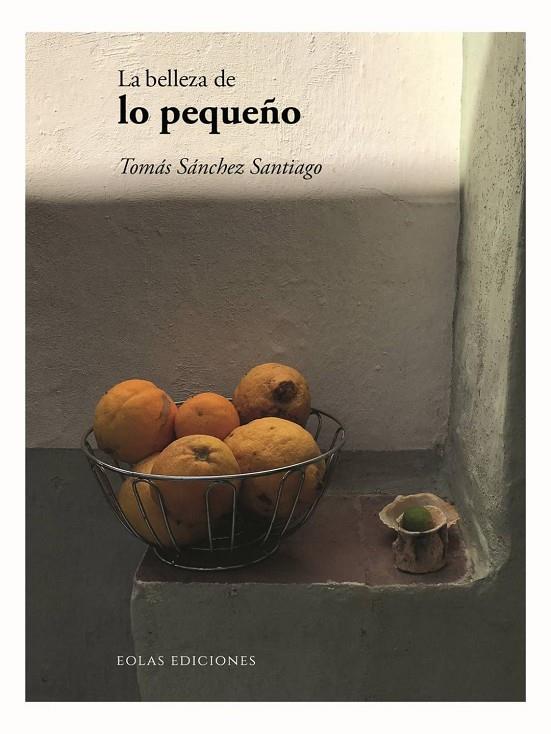 BELLEZA DE LO PEQUEÑO, LA | 9788418718977 | TOMÁS, SÁNCHEZ SANTIAGO