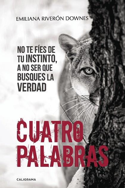 CUATRO PALABRAS | 9788491128410 | RIVERÓN DOWNES, EMILIANA