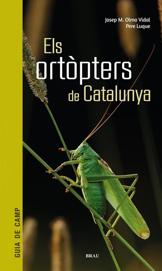 ORTÒPTERS DE CATALUNYA, ELS | 9788418096266 | OLMO VIDAL, JOSEP M. / LUQUE PINO, PERE