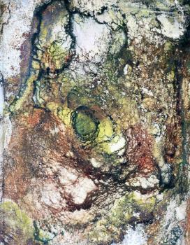 PROYECTO LÍQUIDO | 9788415832362