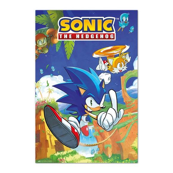 POSTER SONIC & TAILS | 8435497296483