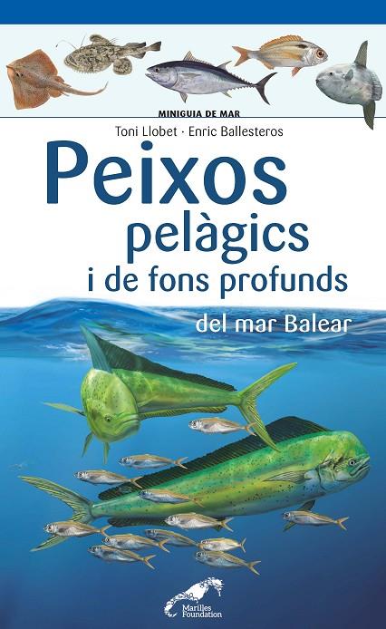 PEIXOS PELÀGICS I DE FONS PROFUNDS DEL MAR BALEAR | 9788490349397 | LLOBET, TONI / BALLESTEROS SAGARRA, ENRIC