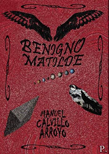 BENIGNO MATILDE | 9788418416941 | CALVILLO ARROYO, MANUEL