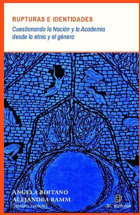 RUPTURAS E IDENTIDADES : CUESTIONANDO LA NACION Y LA ACADEMIA | 9789560101990 | RAMM, ALEJANDRA / BOITANO, ANGELA