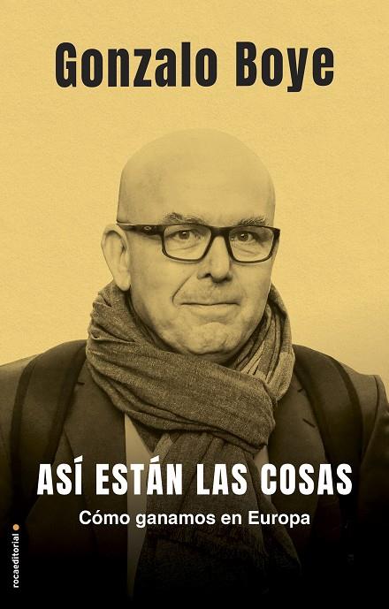 ASÍ ESTÁN LAS COSAS | 9788417805777 | BOYÉ, GONZALO