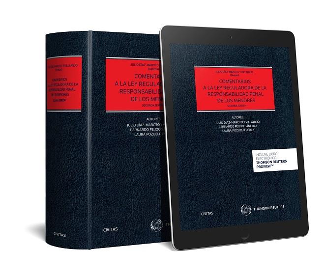 COMENTARIOS A LEY REGULADORA RESPONSABILIDAD PENAL MENORES | 9788491979951 | DÍAZ-MAROTO, JULIO / FEIJOO, BERNARDO / POZUELO, LAURA