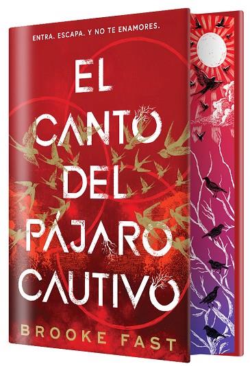 DESTINOS DIVIDIDOS 01. EL CANTO DEL PÁJARO CAUTIVO (EDICIÓN ESPECIAL LIMITADA) | 9791387711764 | FAST, BROOKE