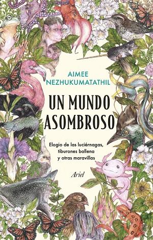 MUNDO ASOMBROSO, UN | 9788434435582 | NEZHUKUMATATHIL, AIMEE
