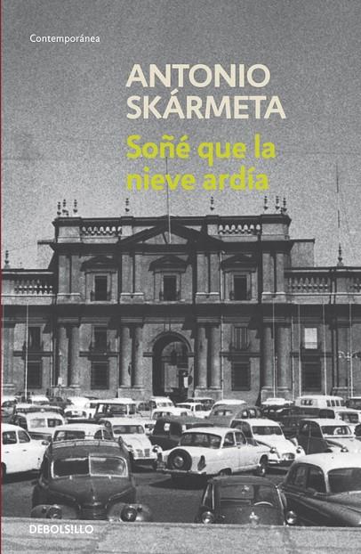 SOÑÉ QUE LA NIEVE ARDÍA | 9788497931175 | SKÁRMETA, ANTONIO