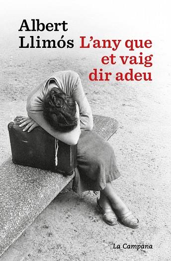 ANY QUE ET VAIG DIR ADEU, L' | 9791387564452 | LLIMÓS, ALBERT
