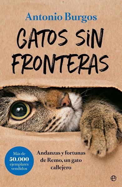 GATOS SIN FRONTERAS | 9788491644248 | BURGOS HERCE, ANTONIO
