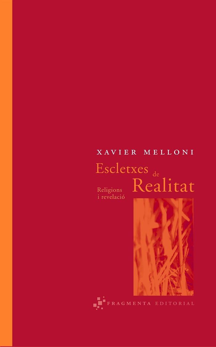 ESCLETXES DE REALITAT | 9788493569501 | MELLONI, XAVIER