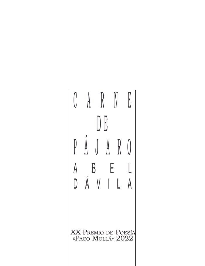 CARNE DE PAJARO | 9788480184762 | DAVILA SABINA, ABEL