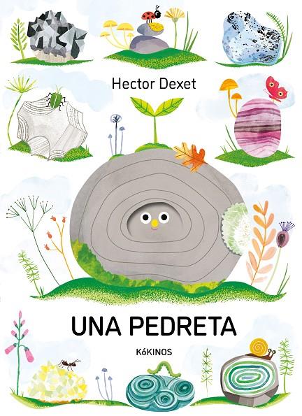 PEDRETA, UNA | 9791387686413 | DEXET, HECTOR