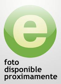 RESPONSABILIDAD PENAL POR OPERACIONES ECONÓMICAS DE ALTO RIESGO, LA | 9788481559484 | EIRANOVA ENCINAS, E.