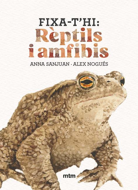 FIXA-T'HI : RÈPTILS I AMFIBIS | 9788410407602 | SANJUAN LLORENS, ANNA / NOGUÉS OTERO, ALEX