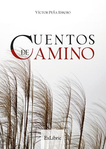 CUENTOS DE CAMINO | 9788418912382 | PEÑA IDROBO, VICTOR