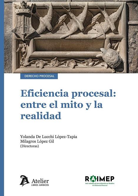 EFICIENCIA PROCESAL : ENTRE EL MITO Y LA REALIDAD | 9791387543167 | DE LUCCHI, YOLANDA