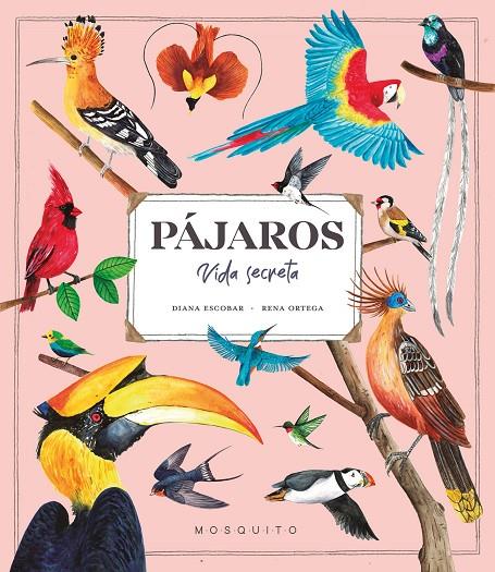 PÁJAROS | 9788419095527 | ESCOBAR, DIANA