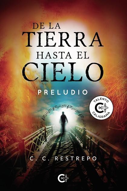 DE LA TIERRA HASTA EL CIELO | 9788418238505 | RESTREPO, C.C.