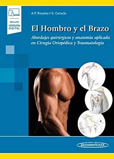 HOMBRO Y EL BRAZO, EL | 9788491105398 | ROSALES VARO, ANTONIO PABLO