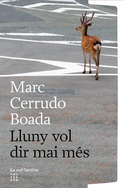 LLUNY VOL DIR MAI MES | 9791387800260 | CERRUDO BOADA, MARC